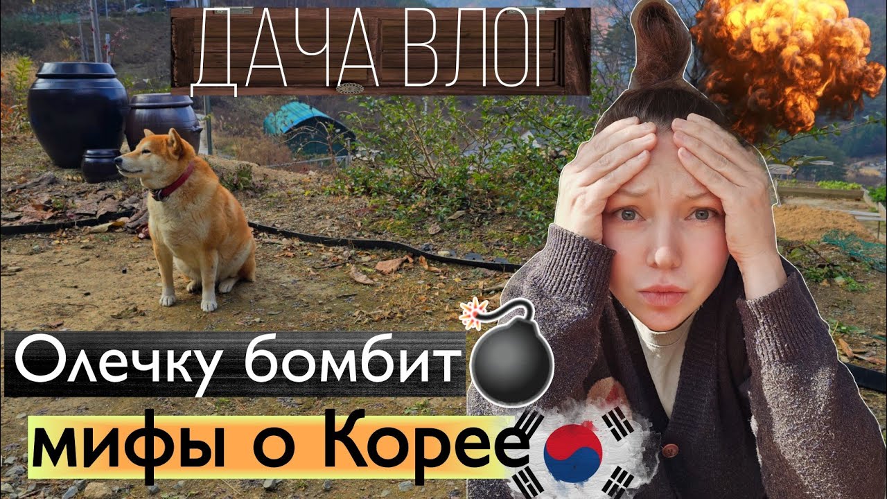 Мифы о Корее / Дачный влог / KOREA VLOG