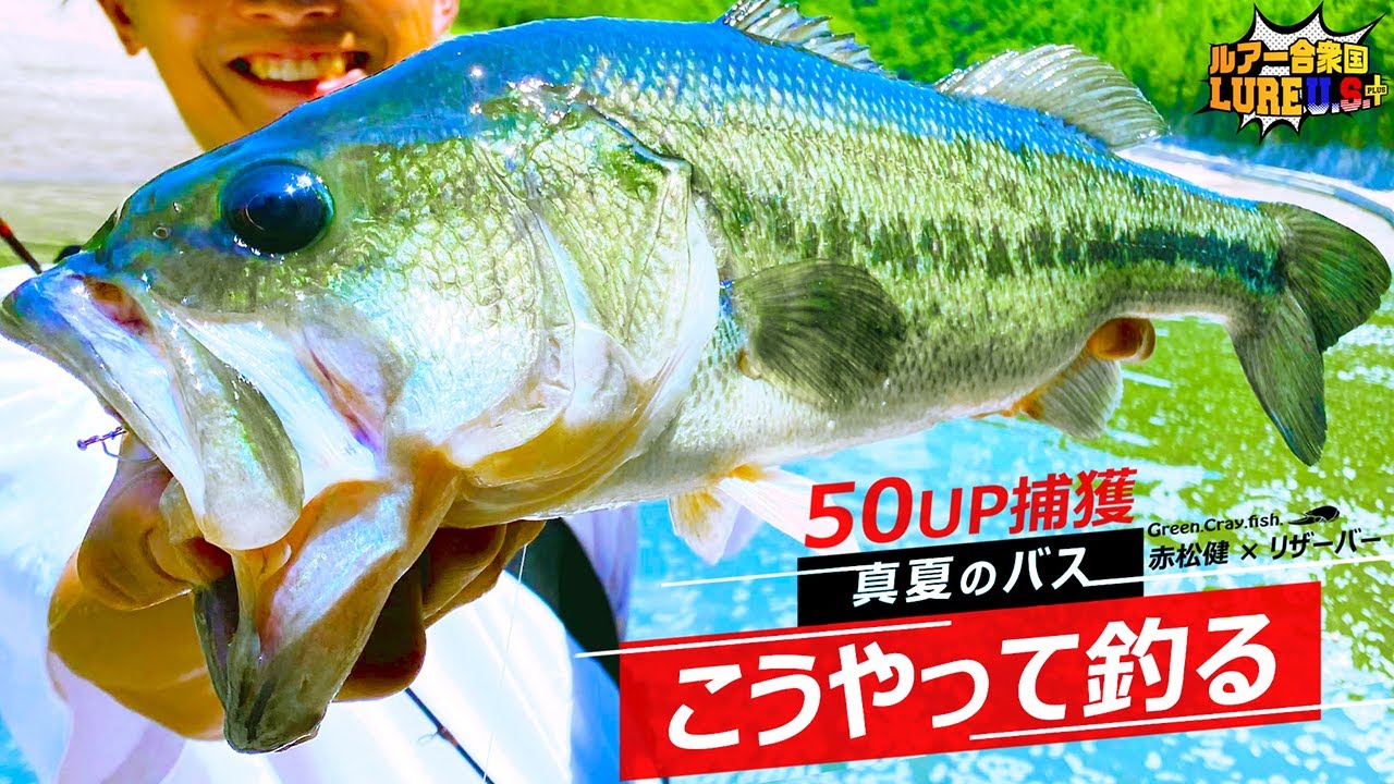 【スパテラ無双】50UP捕獲！真夏のバスはこうやって釣る！赤松健【ルアー合衆国プラス】