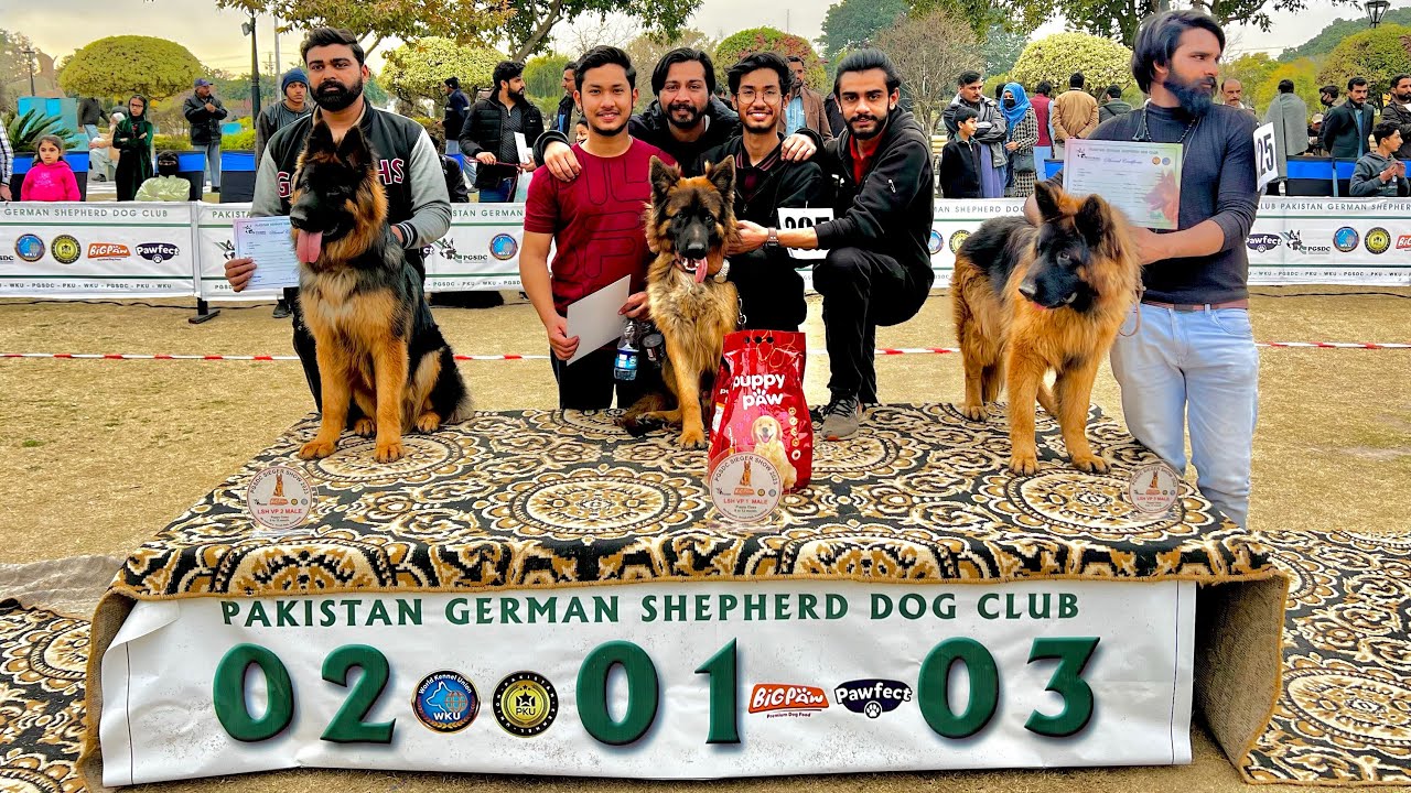 Biggest Dog Show In Rawalpindi |Jinnah Park |German Shepherd