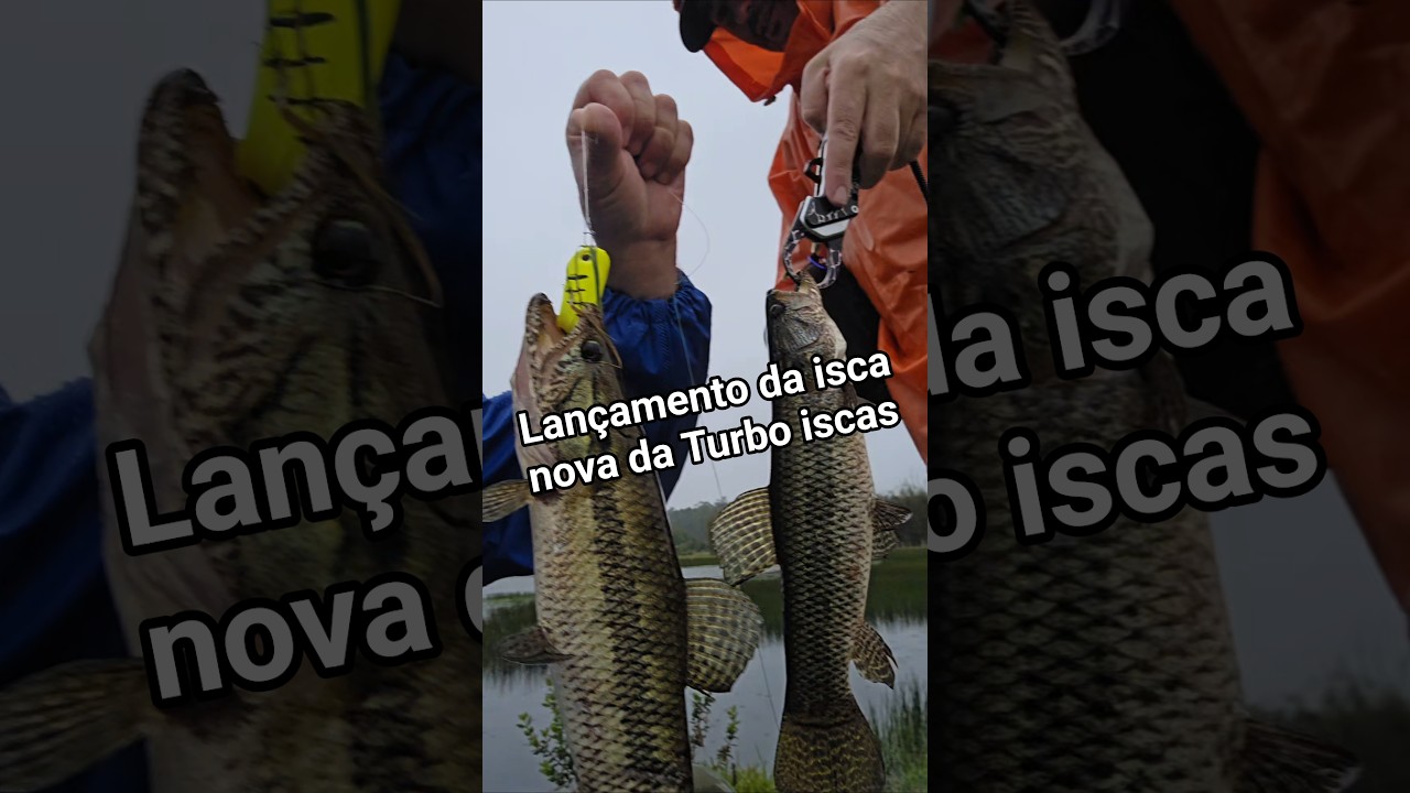 lançamento da isca nova da Turbo iscas a Popper turbo