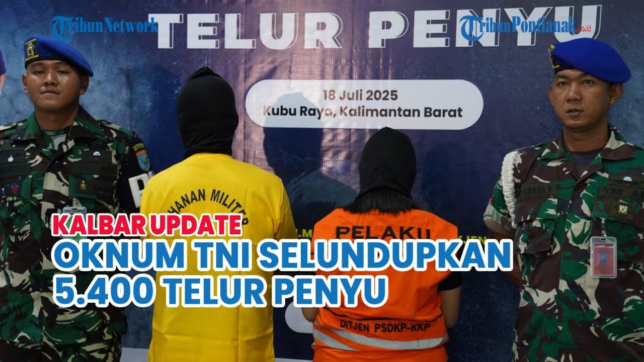 Oknum TNI Terlibat Penyelundupan 5.400 Telur Penyu ke Malaysia