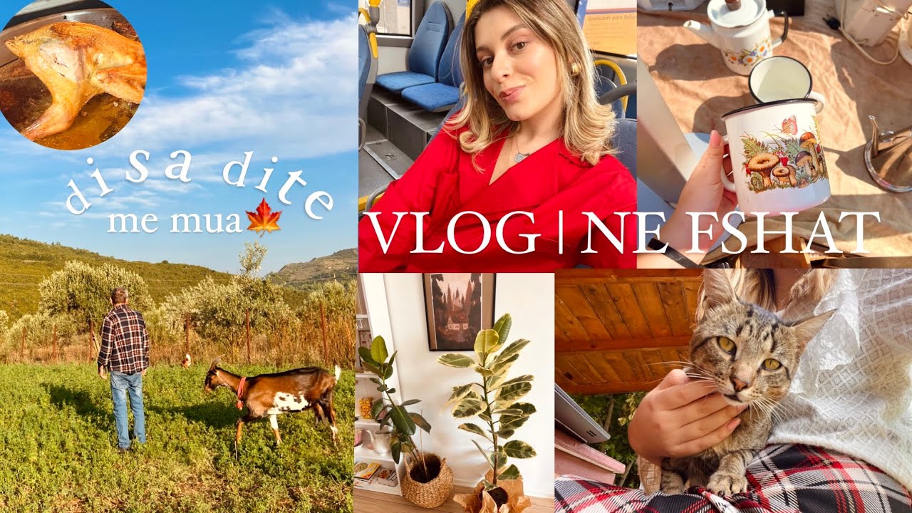 Erdhi Bomba | vete ne fshat, blerje tek te perdorura,rrobat e gjimnazit, Haul | VLOG