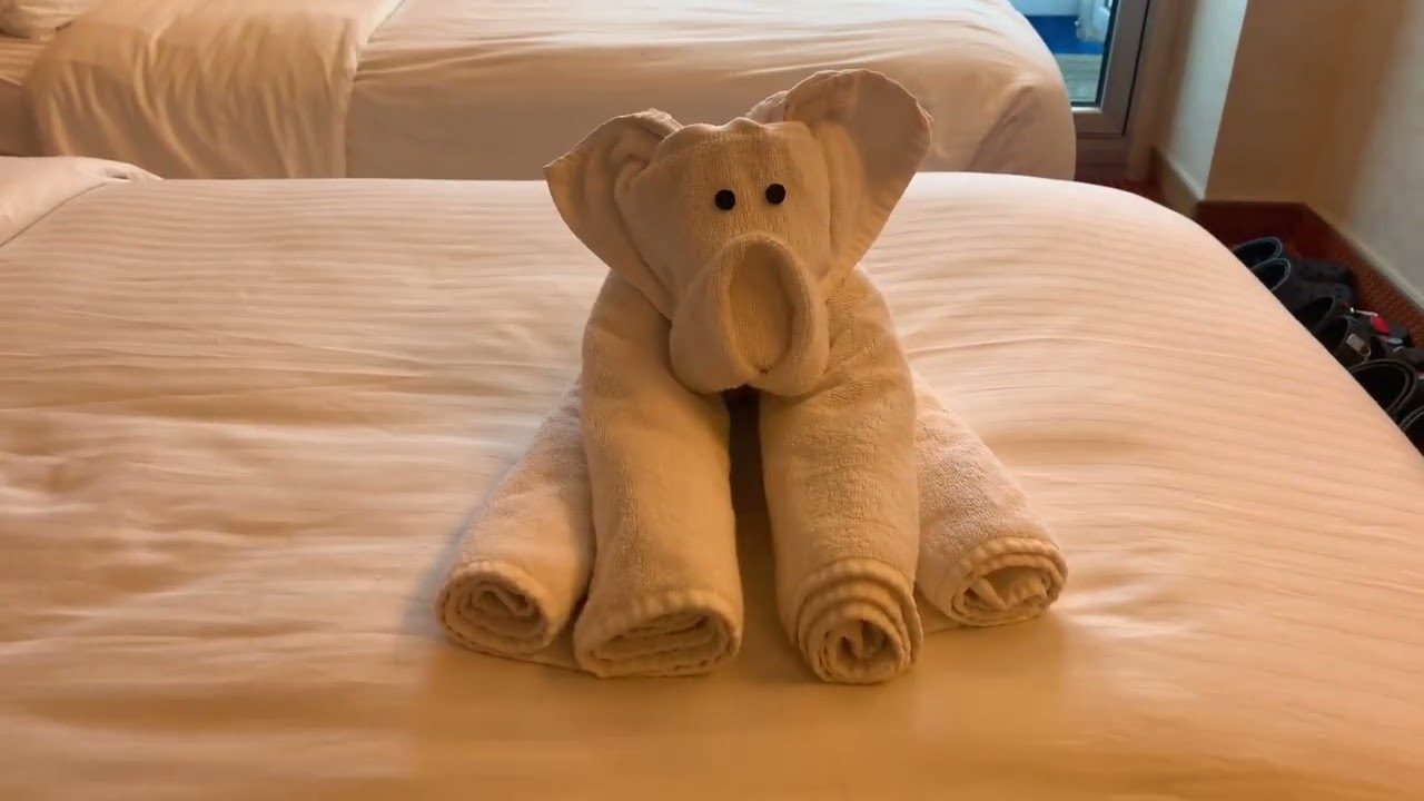 Balcony Room Tour on Carnival Valor. (Room 7400)