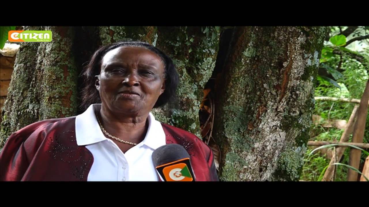 Smart Farm: Kola Nut Farming