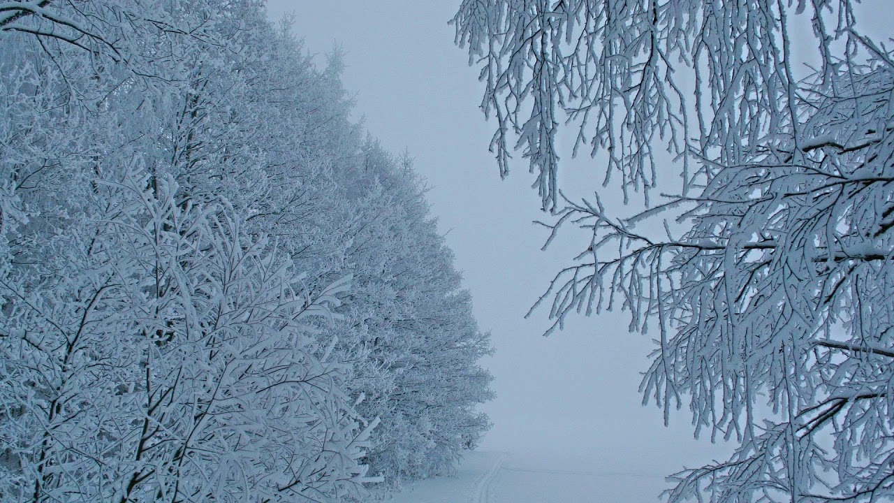 Jean Sibelius - Symphony No. 5 in E flat major, Opus 82