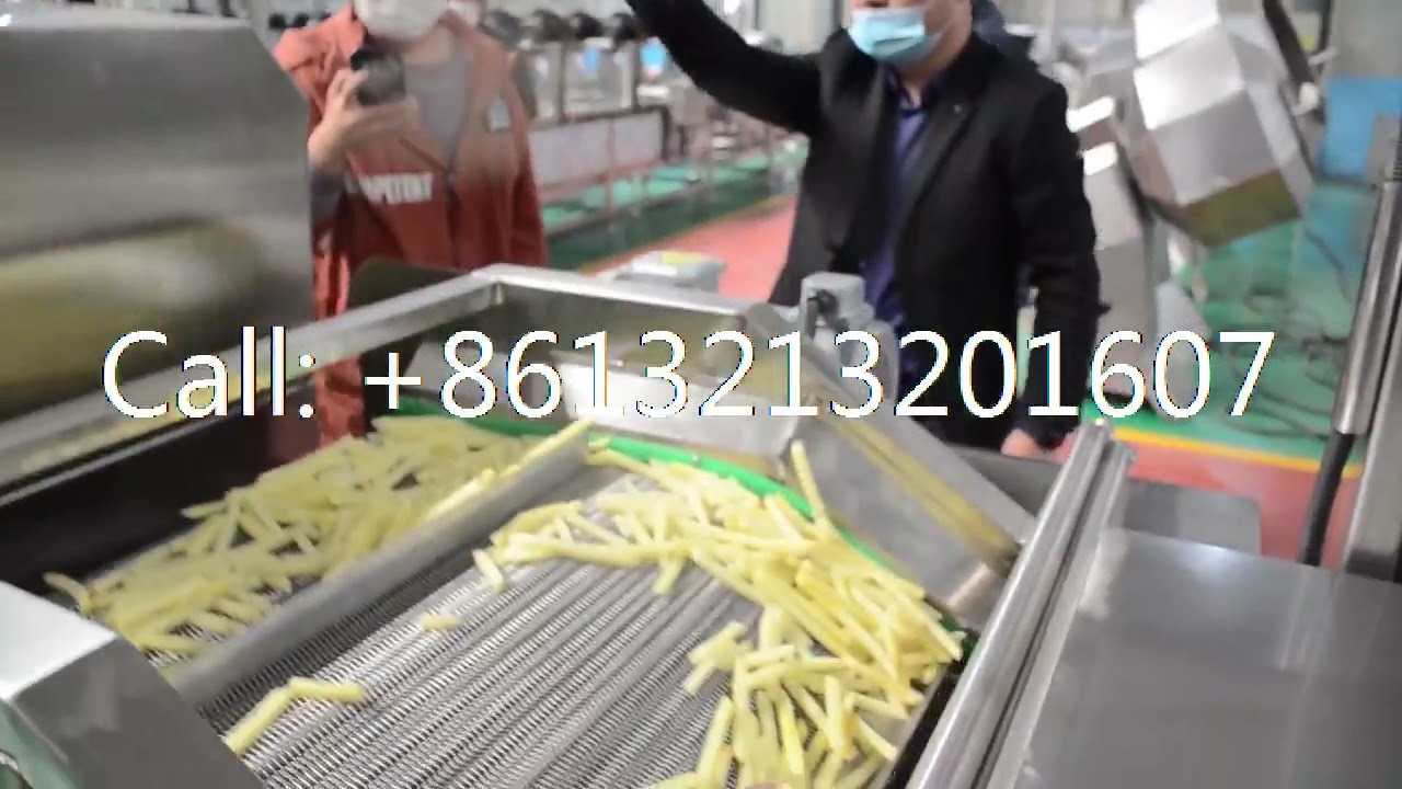 100kg/hr automatic french fries production line