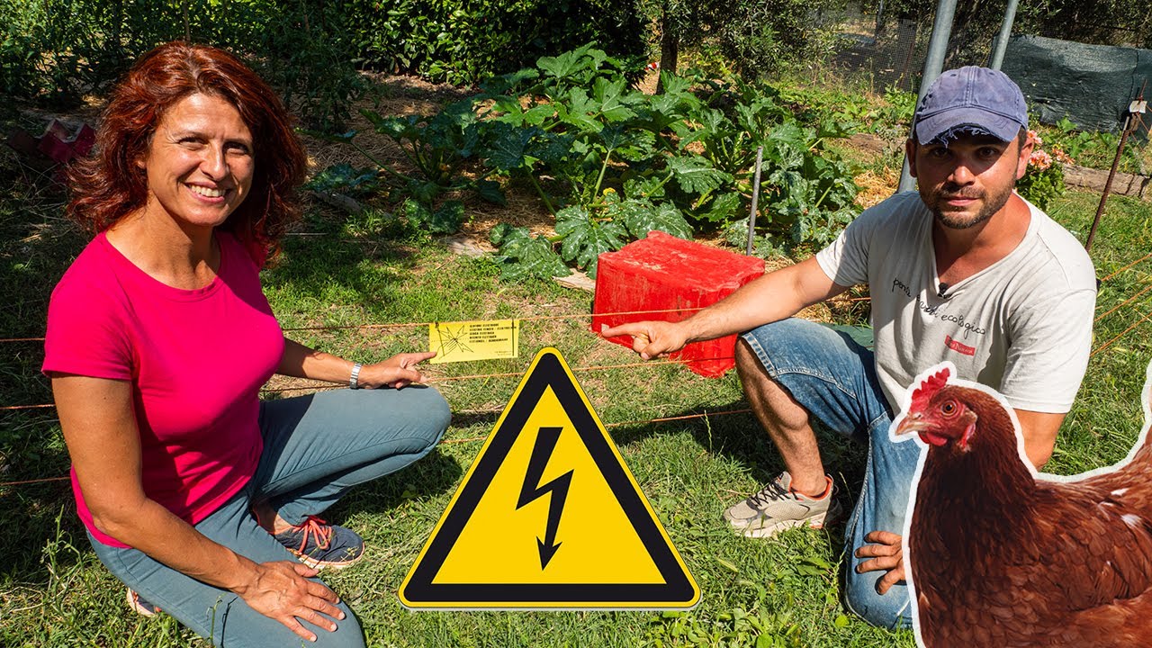 RECINTO ELETTRICO per orto e PASCOLO RAZIONALE 🐓