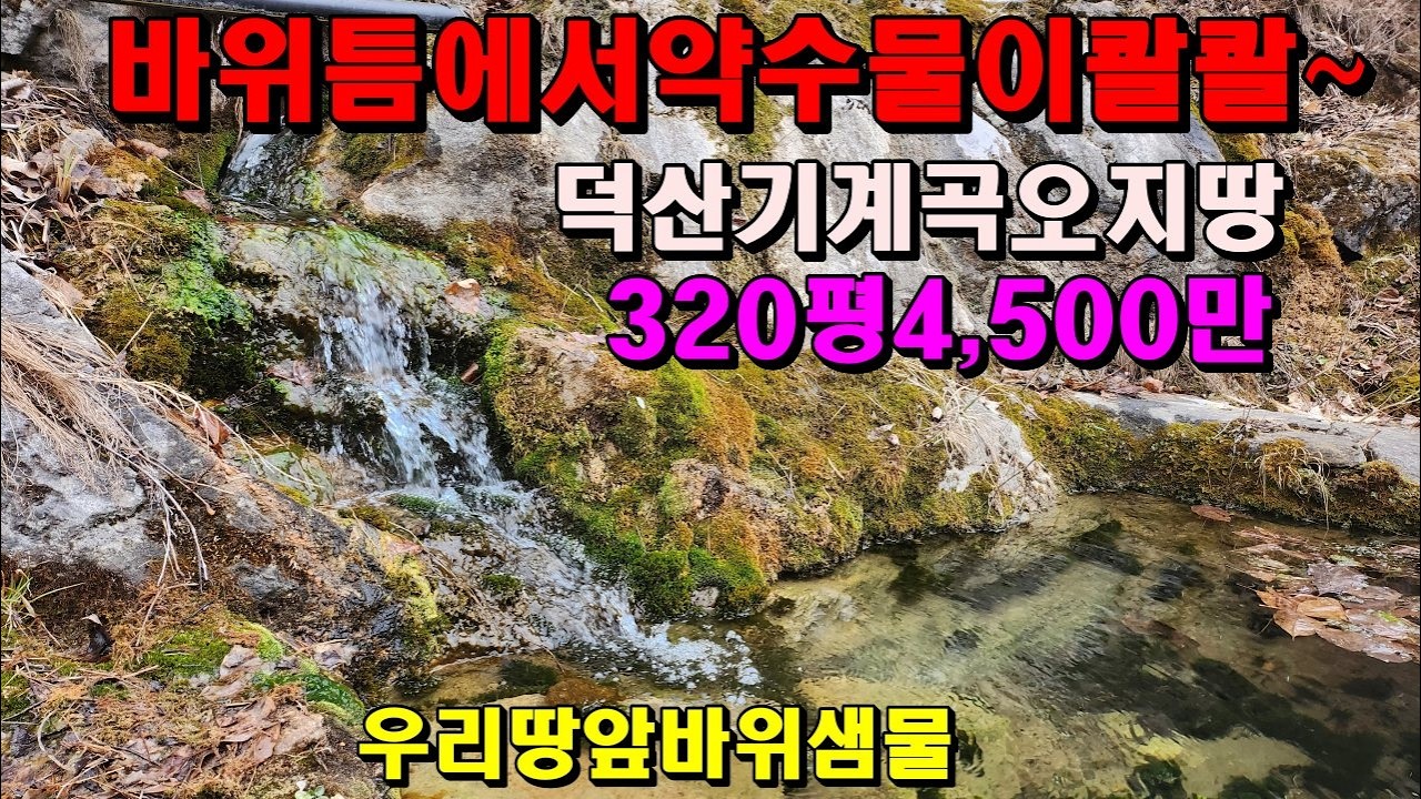 우리땅앞 바위틈에서 약수물이콸콸~덕산기계곡오지땅/320평/4,500만/정선부동산매매/정선토지매매/덕산기계곡땅