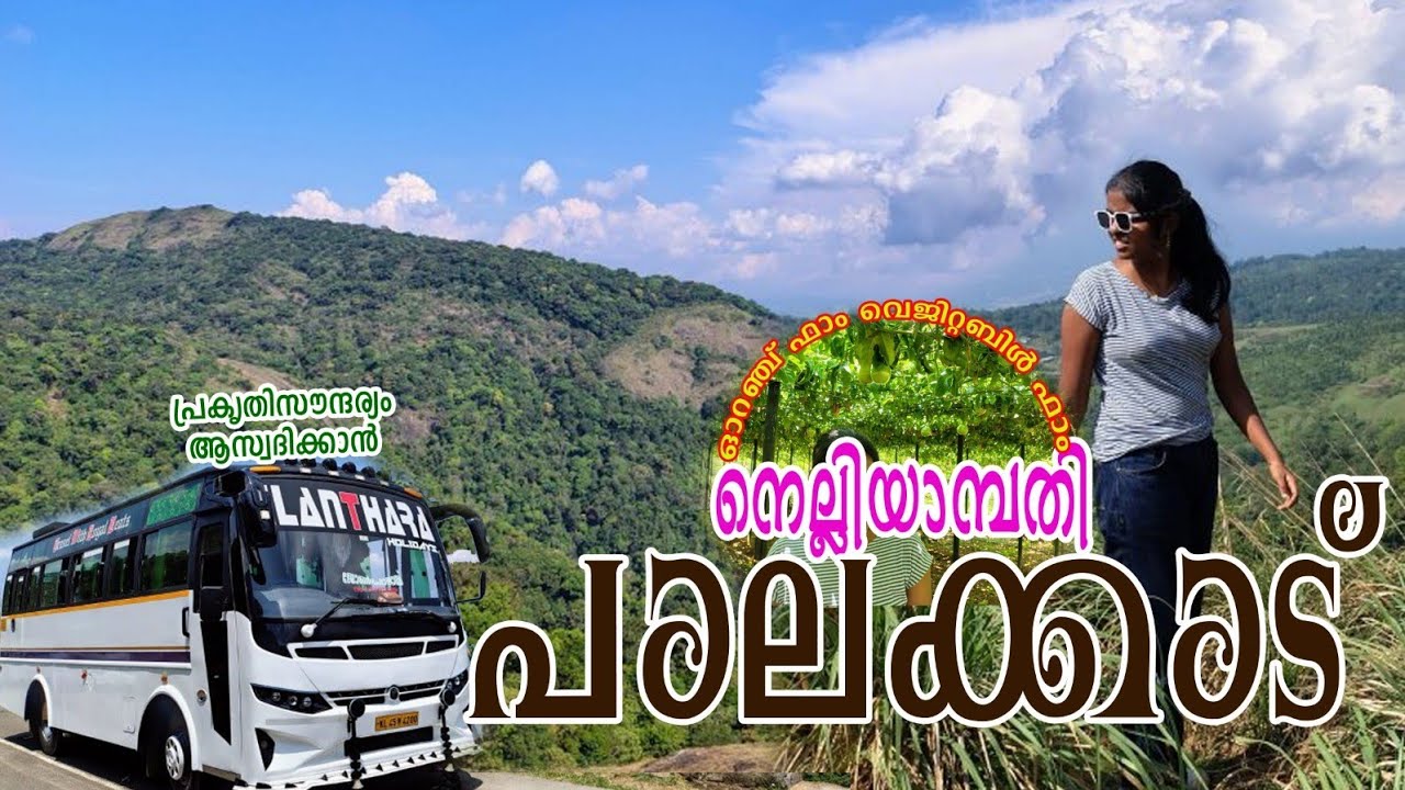 പാലക്കാട്‌ - നെന്മാറ വഴി നെല്ലിയാമ്പതിയിലേക്ക് ഒരു ട്രിപ്പ്‌ ❤️❤️  #nelliyampathy_kerala #kerala