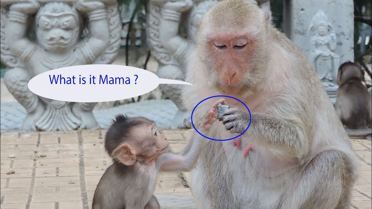 Baby Amira So Hungry Try To Ask Amara For Food / Amira Playing With Baby Musha So Adorable