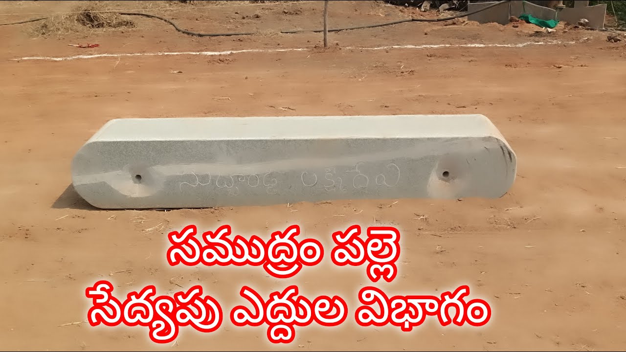 సముద్రం పల్లె సేద్యపు ఎద్దుల విభాగంలో 15 తుమ్మల సూర్యనారాయణ రెడ్డి