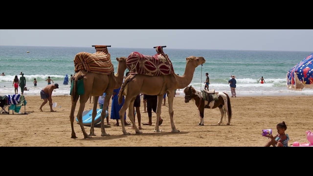Agadir Beach