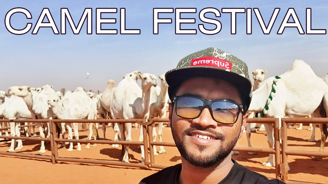 King AbdulAziz Camel Festival 2020 | Saudi Arabia