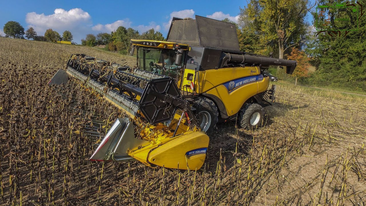 [Sonnenblumen/Sunflower] New Holland Cr8.90 mit New Holland Varifeed 7.6m Schneidwerk