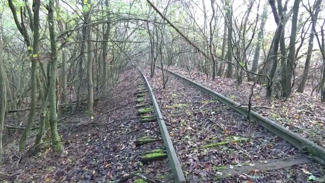 2023.12.02 Vonalbejárás 64-es vonal Pécsvárad Erdősmecske