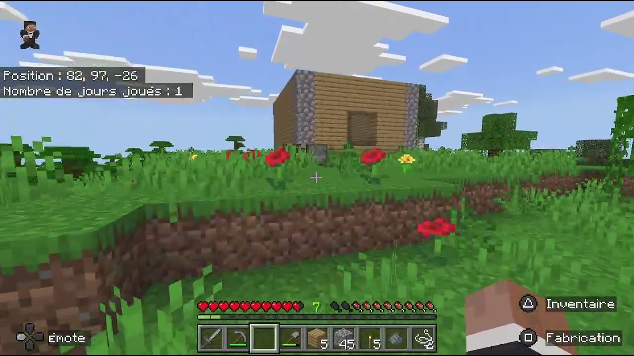 Juste des vidéo sans bruit