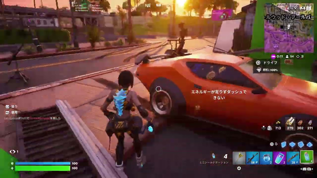 Fortnite_20260125155539