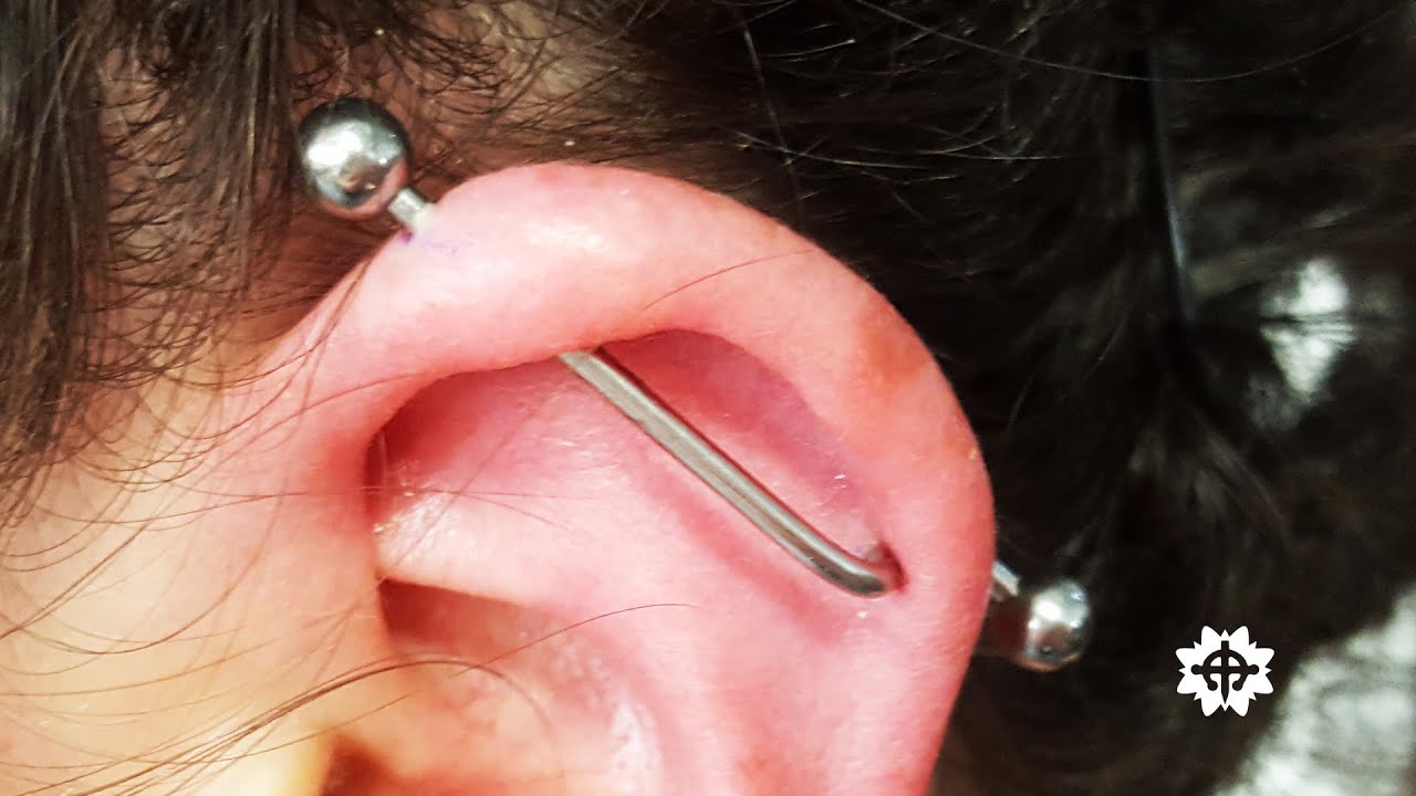 Industrial Piercing By Georgina.