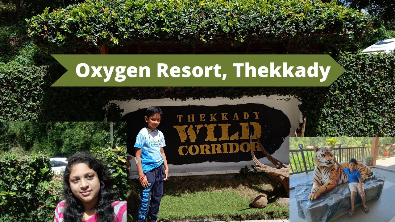 Oxygen Resort Thekkady | Best Resort in Thekkady | Kumuli Resort | Thekkady Kumuli hillstation