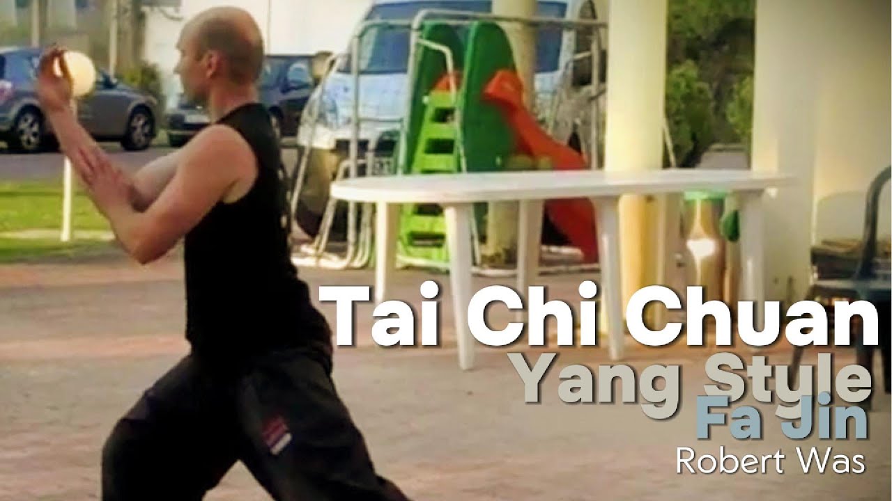 Tai Chi Yang Style Fa Jin by Robert Was
