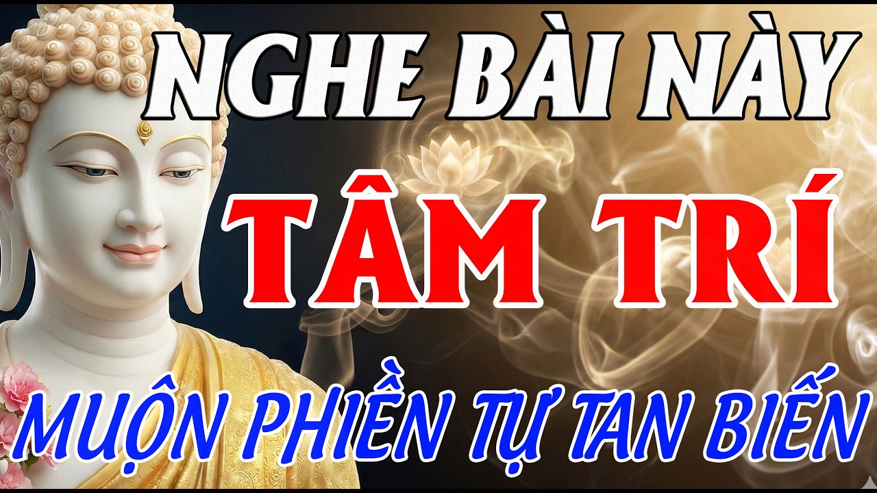 Nghe Bài Này Trước Khi Ngủ: Tâm Trí Tĩnh Lặng, Bao Nhiêu Muộn Phiền Cũng Tự Tan Biến