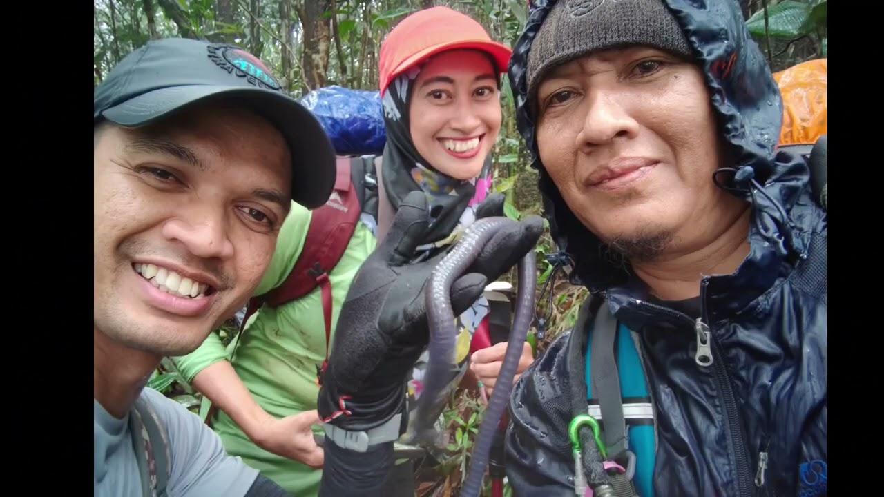 Hiking Gunung Sarut / berendam di Bluepool