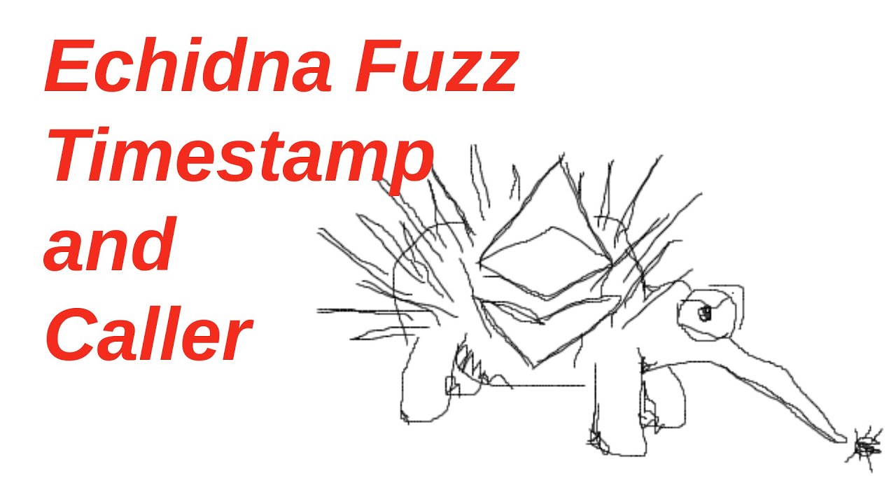 Fuzzing Timestamp and Caller with Echidna