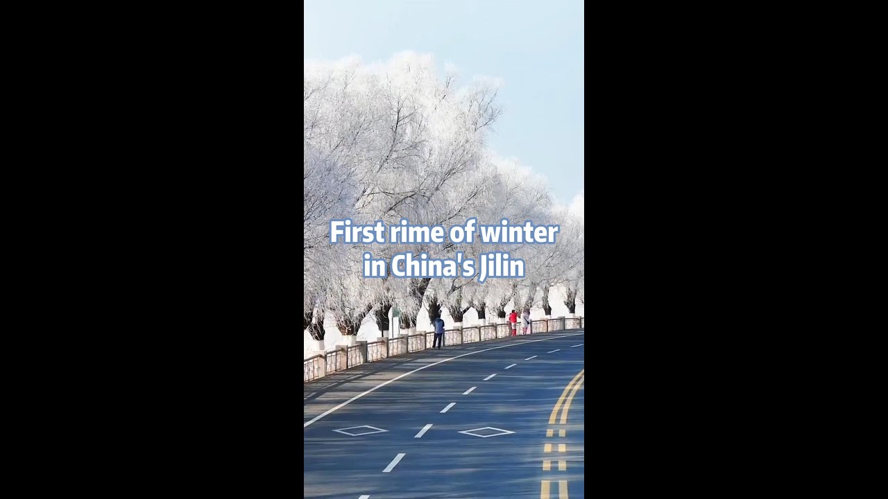 First rime of winter arrives in NE China's Jilin