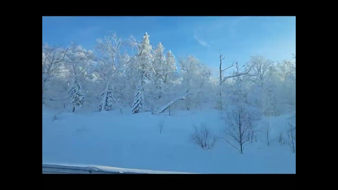 FRANK-WU 有良心 1140105 哈爾濱 - 5 雪鄉【觀光棧道、雪鄉⺠俗博物館、雪韻⼤街、⼤⽯碑合影、雪鄉夜景 篝火晚會、觀雪蘑菇】