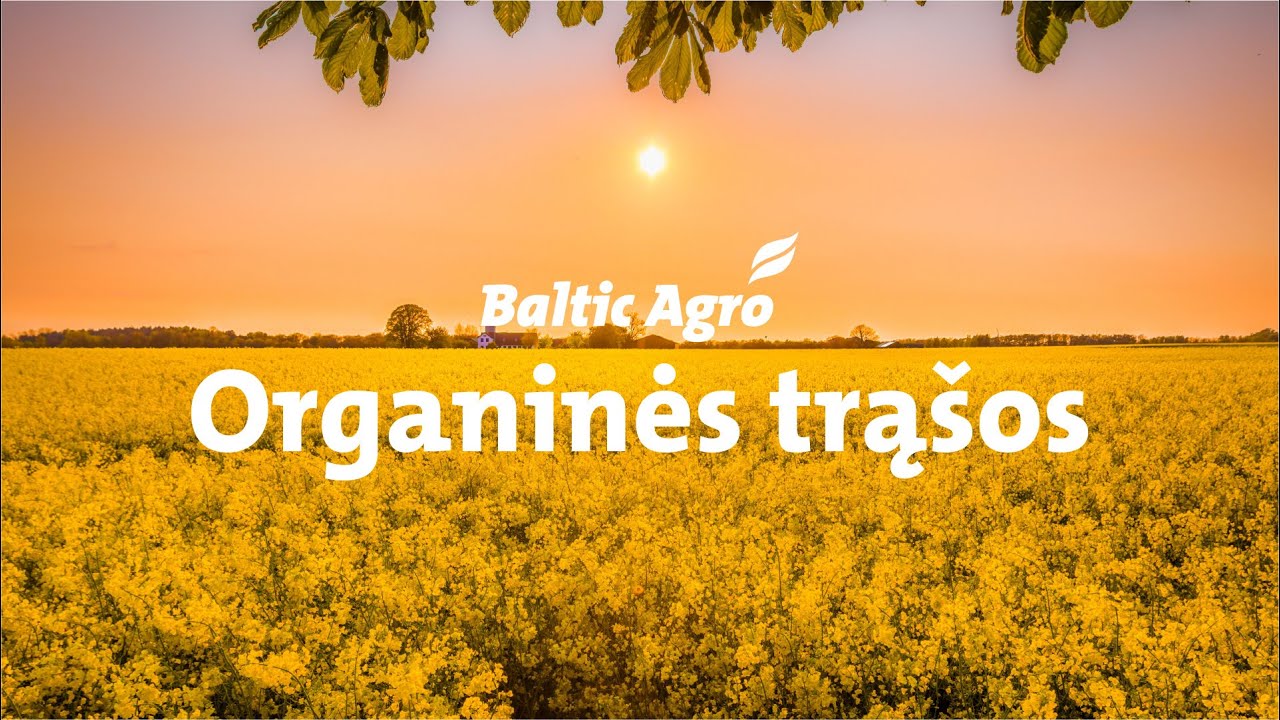 UAB Baltic Agro sprendimas trę&scaron;imui  - organinės trą&scaron;os auginimo technologijoje