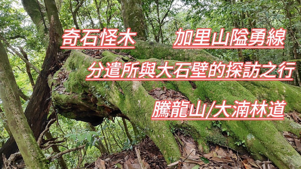 苗栗南庄 | 加里山隘勇線 | 七個分遣所 | 大石壁 | 騰龍山（北橫龍山）| 大湳林道 | O型走