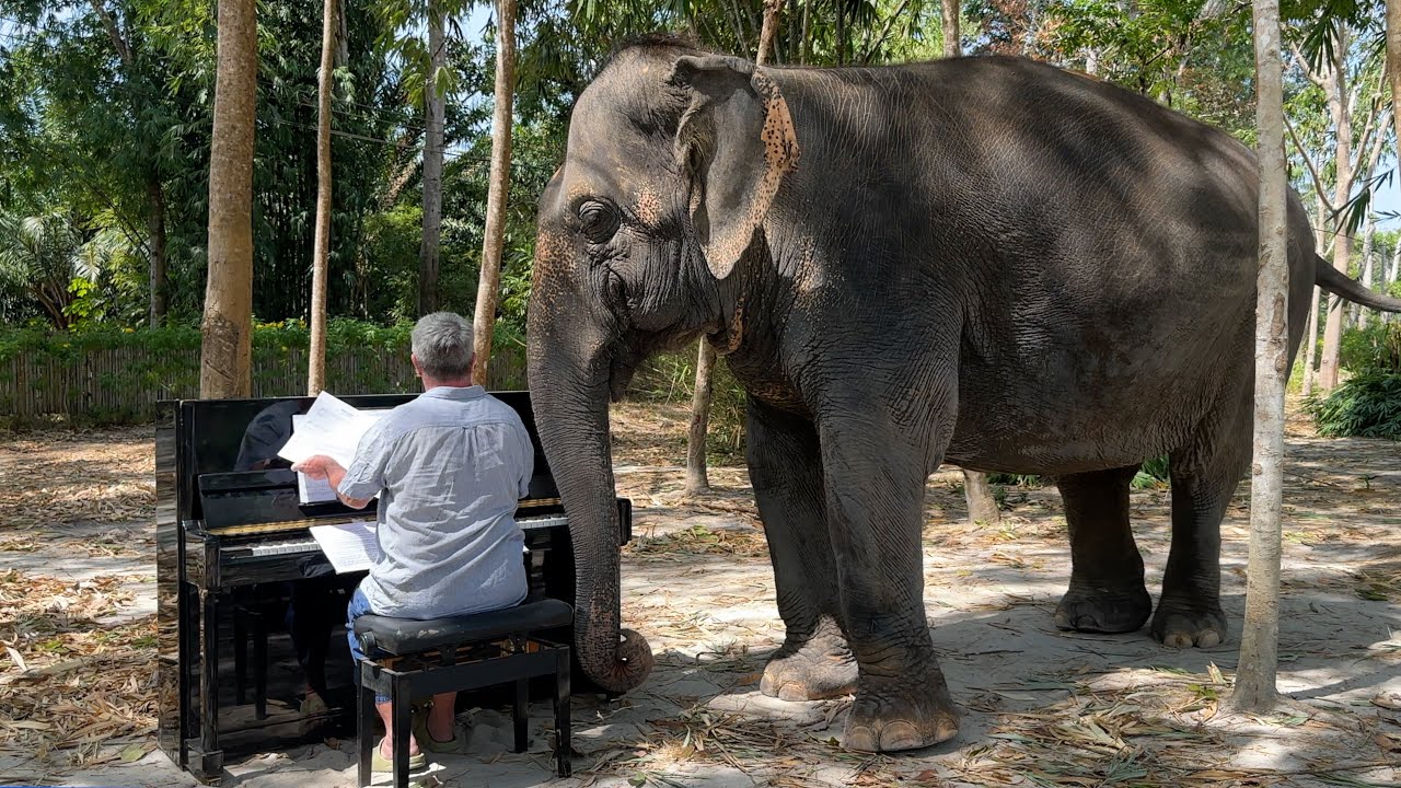 Brahams “Cradle Song” for Seethong the Elephant