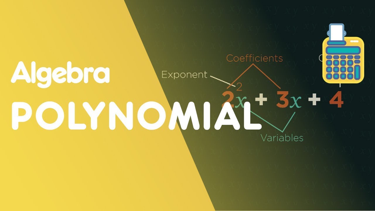 What Are Polynomials? | Algebra | Maths | FuseSchool