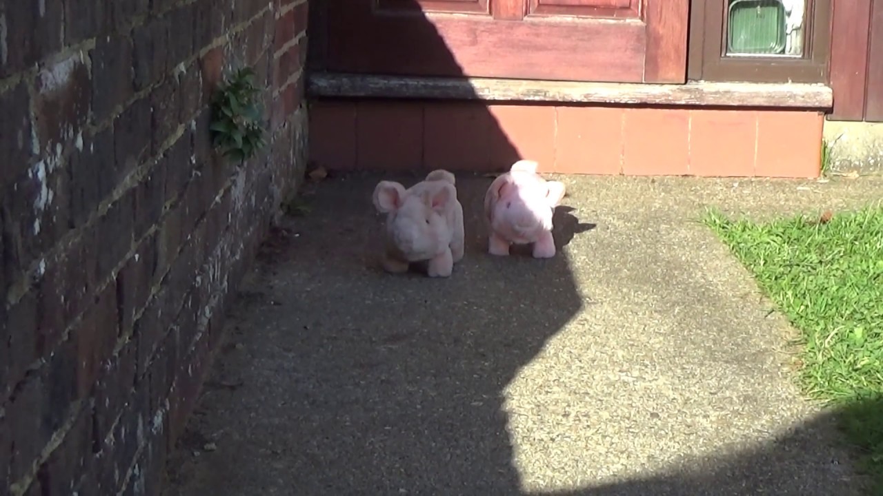 Hamleys Pudgey Pig and Hamleys Super Pudgey Pig racing up the garden path