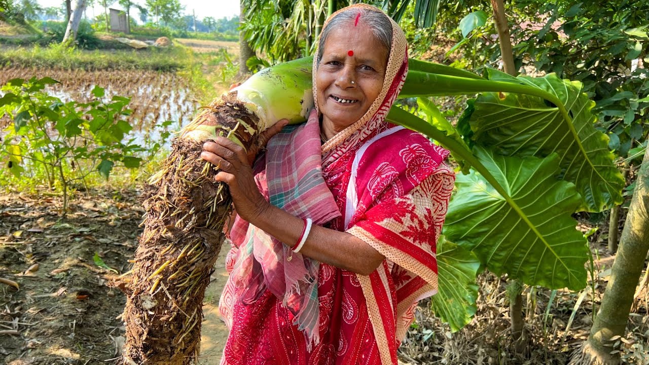 প্রথমবার আমাদের বাড়িতে এত বড় কচু তুলে রান্না হল | Mach Dea Kochu Ranna |