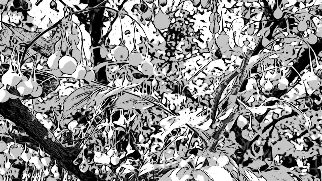 restavice - (demo) No.0060 20241103