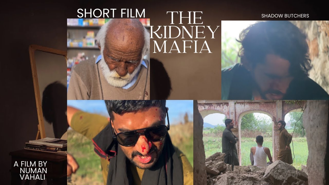 | short film | The kidney mafia | Human organ business that will blow your mind | shadow butchers 