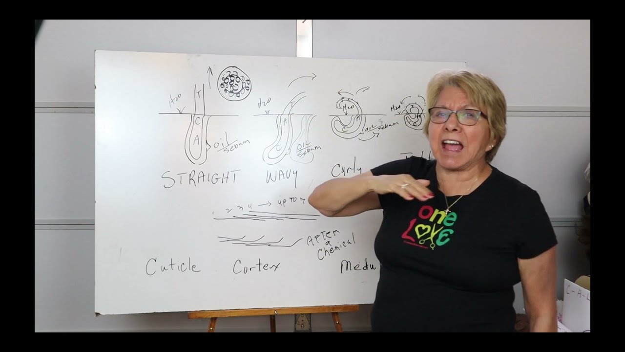 A to Z Cosmetology    Understanding Hair Structure before any Chemical Treatments