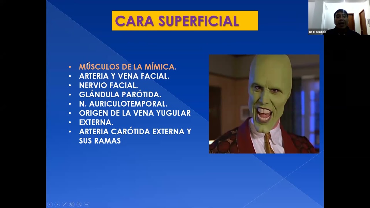 DIPLOMADO MEDICINA ESTÉTICA - TOXÍNA BOTULINICA TEORIA