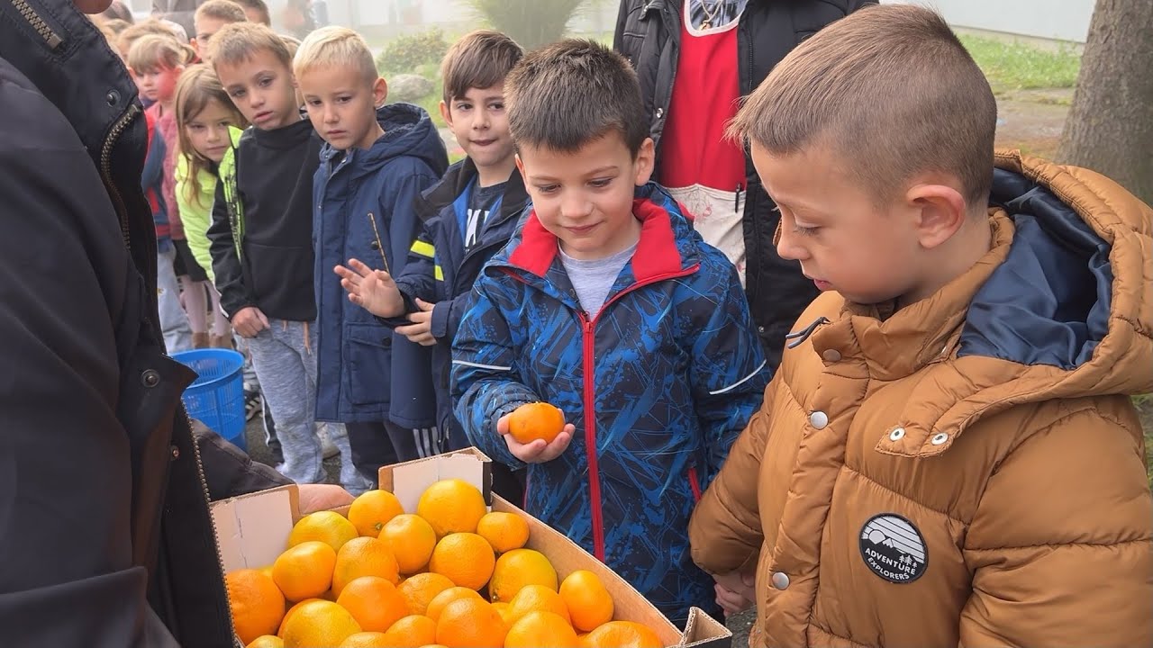 Donacija neretvanskih mandarina đakovačkim vrtićarcima