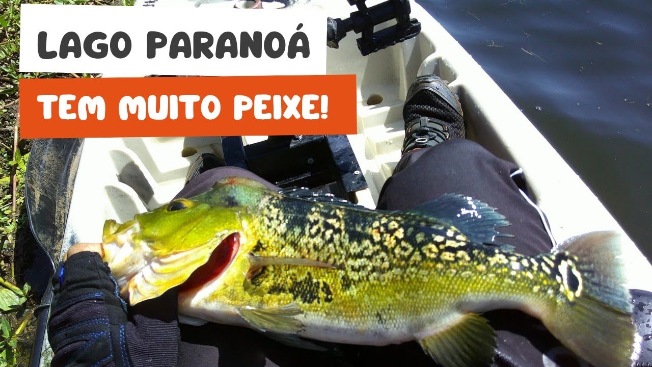 PESCARIA DE TUCUNARÉ NO LAGO PARANOÁ. Achei o ponto melhor que Lago SERRA DA MESA. INACREDITÁVEL 😱