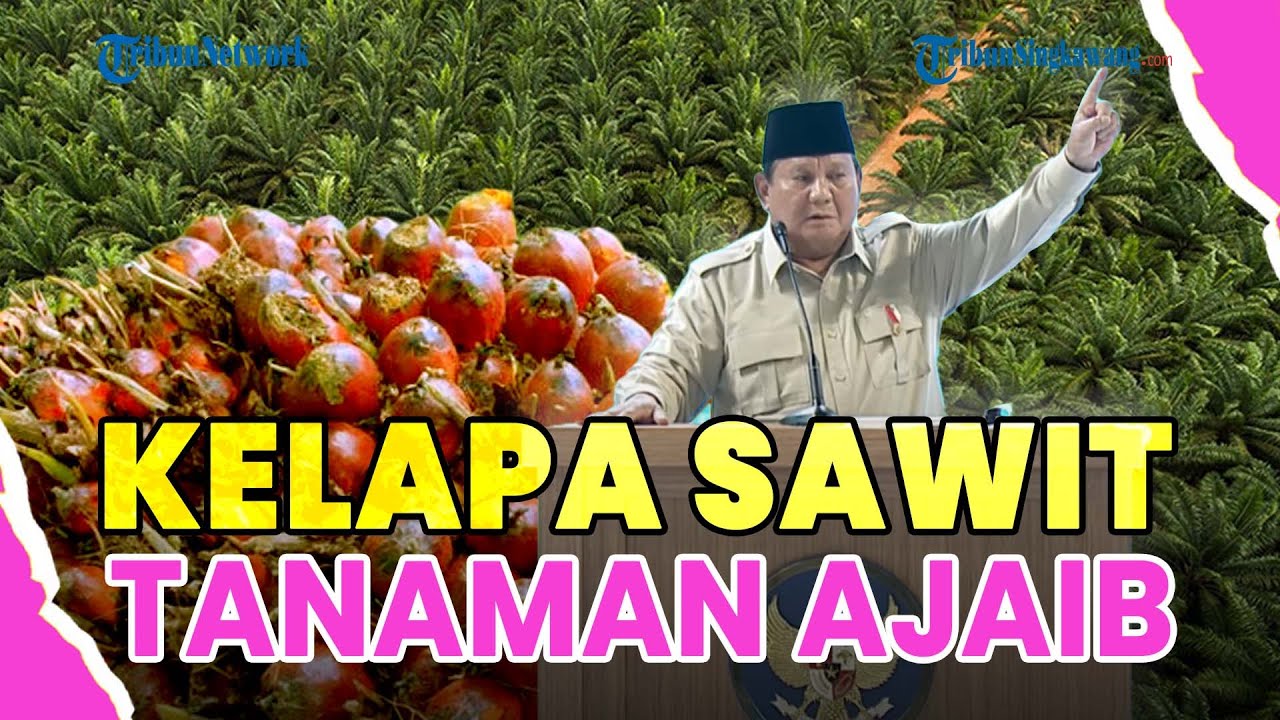 ®️🔴 PRABOWO SEBUT KELAPA SAWIT TANAMAN AJAIB & BERMANFAAT❗: HAMPIR SEMUA PEMIMPIN MINTA SUPLAI KE RI
