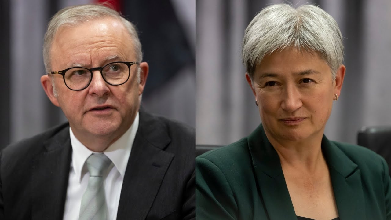 ‘Hypocrites and charlatans’: Albanese and Wong slammed over Palestine recognition