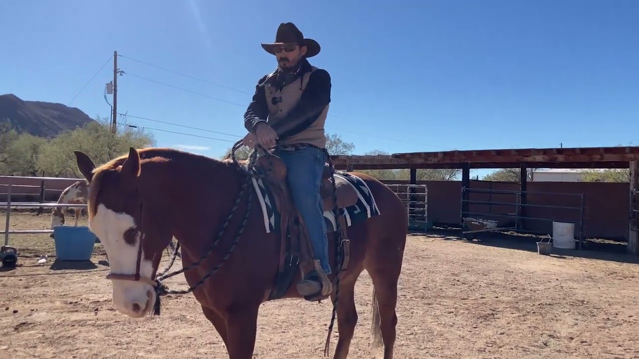 AZHT: Correcting a Heady Horse with Hackamore