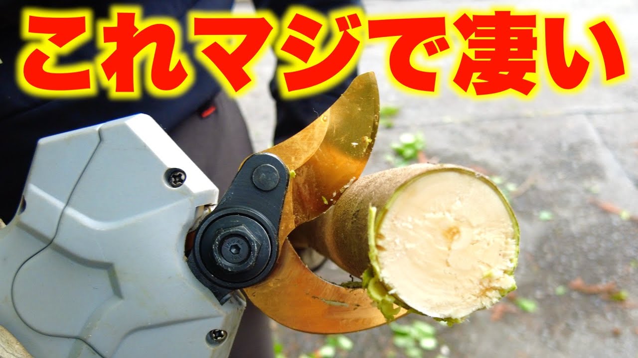 【絶対おすすめ電動剪定鋏】値段、性能、使いやすさ、マキタ互換
