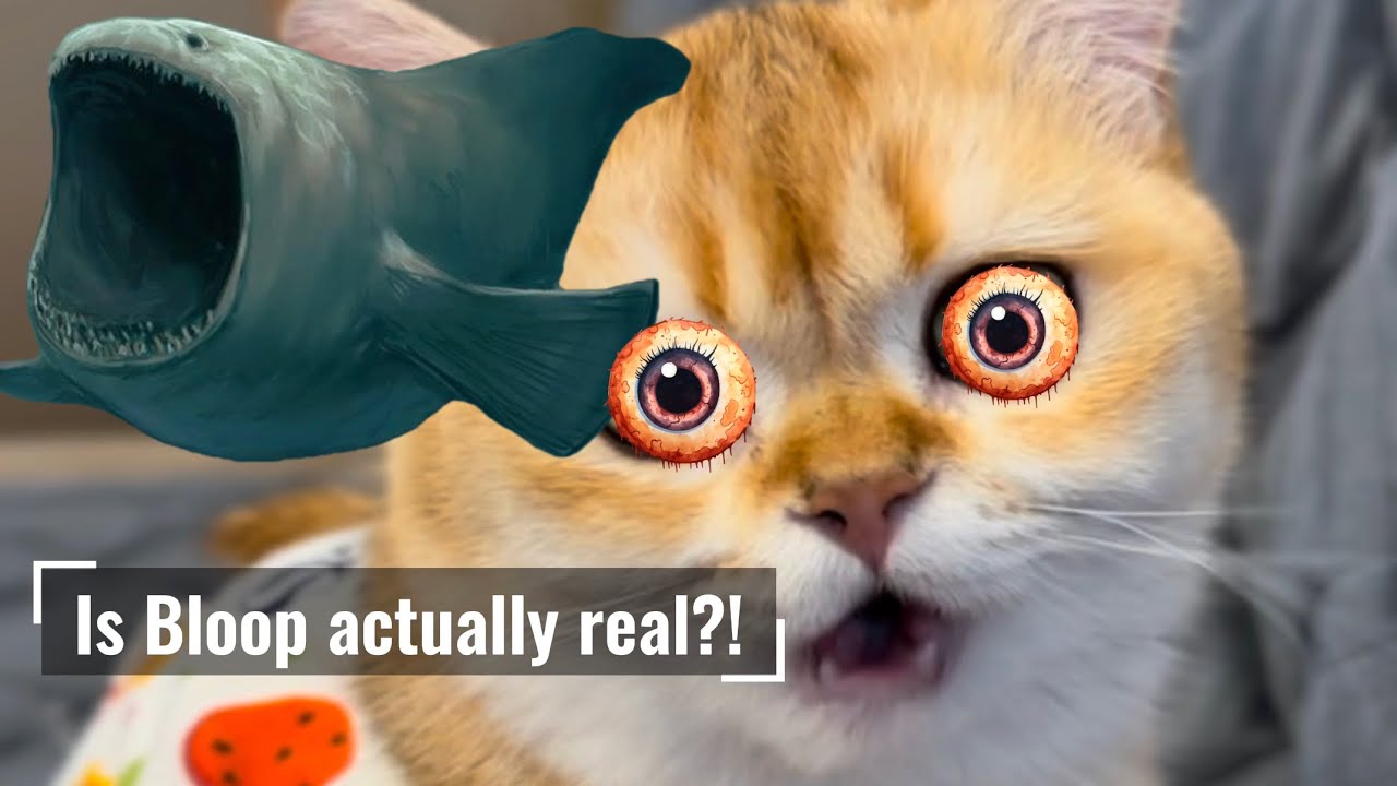 Блуп действительно существует?!