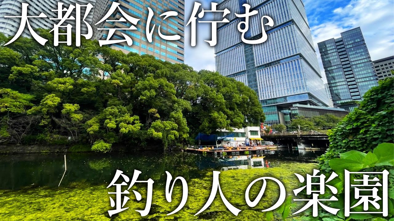 大都会にポツンと佇む謎の釣り場…釣りをしてみると想定外の大物が連発する都会のオアシスだった！