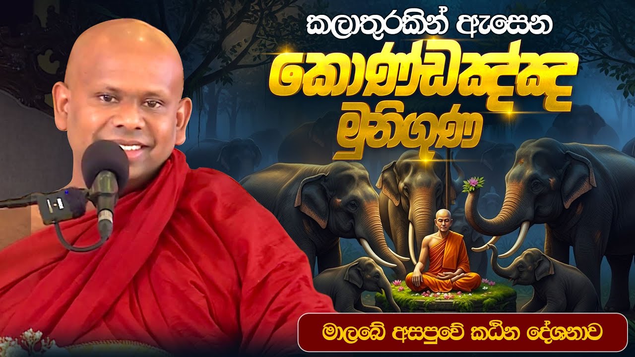 කලාතුරකින් ඇසෙන කොණ්ඩඤ්ඤ මුනිගුණ | Ven Welimada Saddaseela Thero