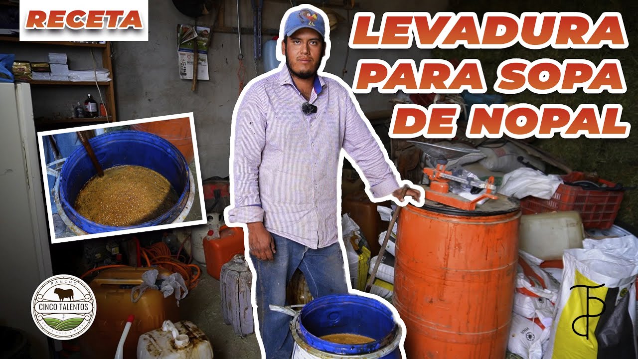 LEVADURA PARA SOPA NOPAL | Rancho Cinco Talentos | Agricultura - Campo