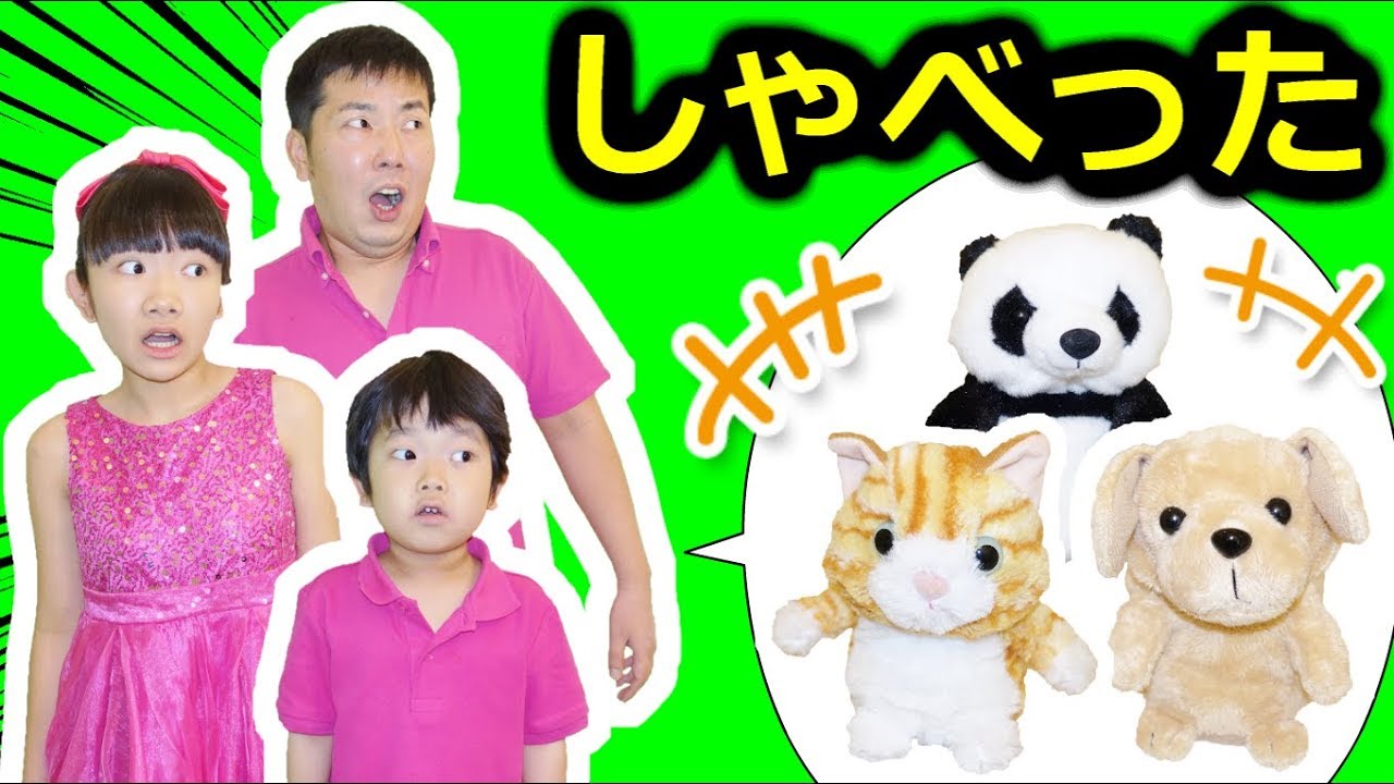 ★ぬいぐるみペットがしゃべった！ミステリードラマ★stuffed doll speaks★